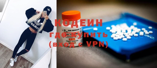 спиды Бородино