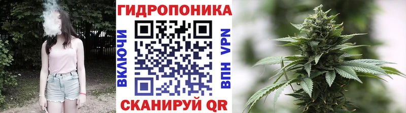 Канабис план  Далматово 